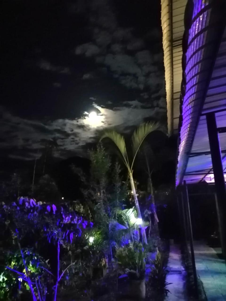 Ella Zenith View Hotel Екстериор снимка